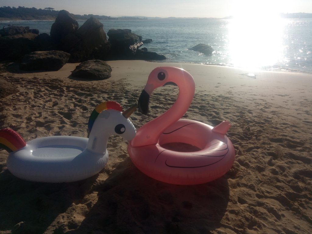 flamenco y unicornio colchonetas